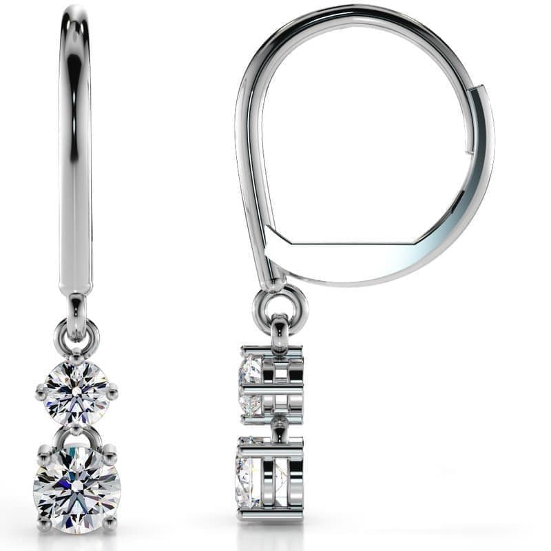 Double Drop Shiny Back Earrings